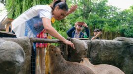 Foto: Wakil Menteri Pariwisata (Wamenpar) Ni Luh Puspa.