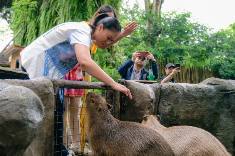 Foto: Wakil Menteri Pariwisata (Wamenpar) Ni Luh Puspa.