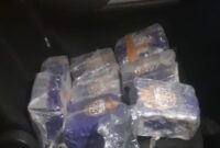 Foto: Barang bukti narkotika jenis methamphetamine atau sabu dengan total berat sekitar 8 kilogram yang berhasil diamankan oleh Direktorat Interdiksi Narkotika Bea Cukai, Kanwil Bea Cukai Riau, Bea Cukai Dumai, serta Subdit 4 Direktorat Tindak Pidana Narkoba Bareskrim Polri di wilayah Pinggir, Kabupaten Bengkalis, Riau, pada Kamis (4/12). (Dok-Istimewa)