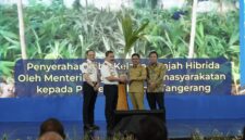 Kementerian Imigrasi dan Pemasyarakatan (Kemenimipas) menggelar rangkaian kegiatan bakti sosial dalam rangka peringatan Hari Bakti Imigrasi ke-76 yang dipusatkan di Politeknik Pengayoman Indonesia (Poltekpin), Tangerang,