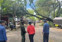 Foto: Petugas gabungan TNI, Polri, dan BPBD Kabupaten Trenggalek meninjau lokasi pohon tumbang yang melintang di Jalan Raya Kecamatan Panggul, Trenggalek, Sabtu