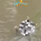 Foto: Penemuan sesosok mayat pria tanpa identitas yang ditemukan mengapung di aliran Kali Ciliwung, tepatnya di kawasan Lenteng Agung, Kecamatan Jagakarsa, Jakarta Selatan, pada Jumat Pagi (16/1/2026). (Dok-Tangkapan Layar Video Instagram/@lentengagungterkini)
