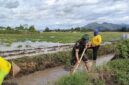 Foto: Babinsa Desa Kedungwilut Koptu Yudi Purwanto bersama warga bergotong royong membersihkan saluran irigasi di area persawahan, Minggu (15/2/2026)