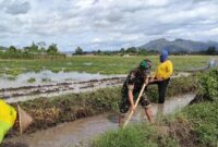 Foto: Babinsa Desa Kedungwilut Koptu Yudi Purwanto bersama warga bergotong royong membersihkan saluran irigasi di area persawahan, Minggu (15/2/2026)