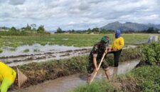 Foto: Babinsa Desa Kedungwilut Koptu Yudi Purwanto bersama warga bergotong royong membersihkan saluran irigasi di area persawahan, Minggu (15/2/2026)