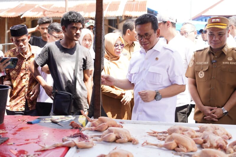 Menteri Perdagangan Budi Santoso memastikan aktivitas perdagangan di Kabupaten Pidie, Provinsi Aceh, telah kembali berjalan normal pascabanjir yang melanda wilayah tersebut pada November 2025.