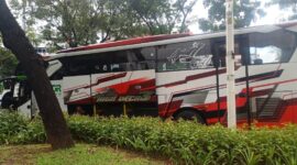 Foto: Bus Pariwisata Berhenti di Ruang Terbuka Hijau