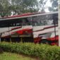 Foto: Bus Pariwisata Berhenti di Ruang Terbuka Hijau