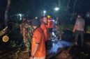 Foto: Hujan dan Angin Robohkan Trembesi di Trenggalek, Akses Nasional Sempat Lumpuh