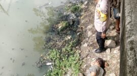 Foto: Korban ditemukan dalam kondisi terluka di bagian kepala dan segera dibawa ke Puskesmas untuk mendapatkan penanganan medis.