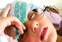 Foto: Ilustrasi Demam Berdarah Dengue (DBD). (Dok-Istimewa)