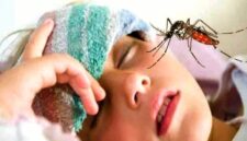 Foto: Ilustrasi Demam Berdarah Dengue (DBD). (Dok-Istimewa)