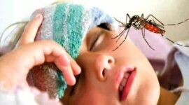 Foto: Ilustrasi Demam Berdarah Dengue (DBD). (Dok-Istimewa)