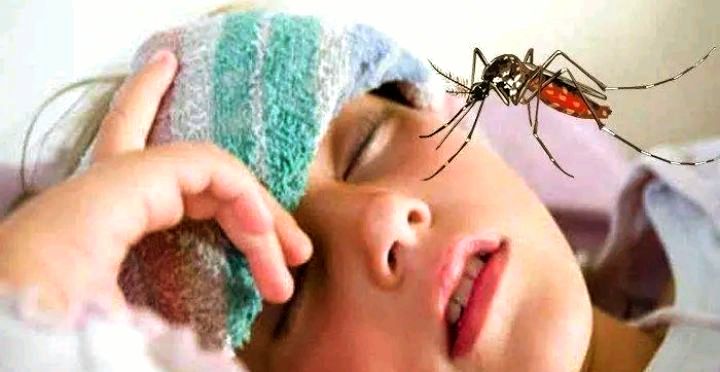 Foto: Ilustrasi Demam Berdarah Dengue (DBD). (Dok-Istimewa)