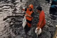 Petugas kebersihan DKI Jakarta menunjukkan ikan sapu-sapu yang baru ditangkap di sebuah sungai di Jakarta, beberapa lalu. (Foto: instagram dkijakarta)