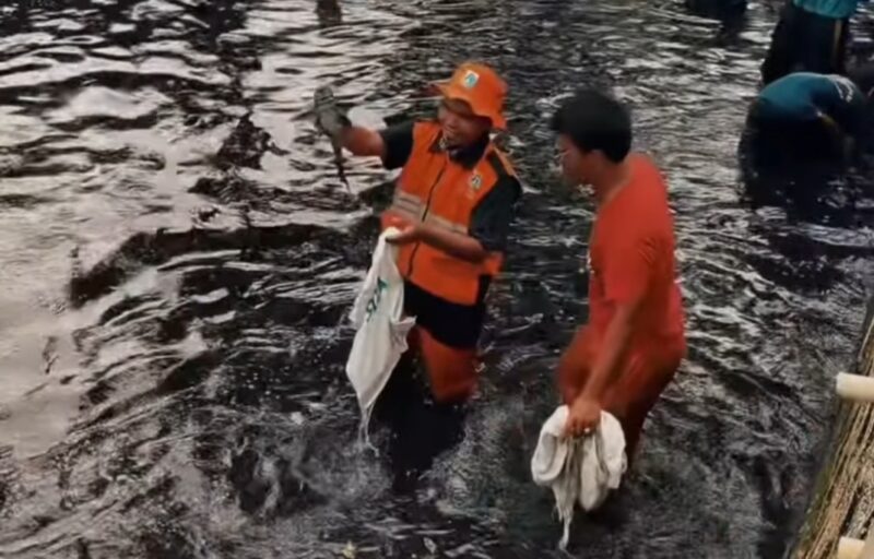 Petugas kebersihan DKI Jakarta menunjukkan ikan sapu-sapu yang baru ditangkap di sebuah sungai di Jakarta, beberapa lalu. (Foto: instagram dkijakarta)