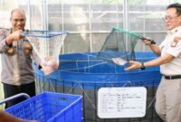 Foto: Upaya memperkuat ketahanan pangan nasional terus dilakukan jajaran kepolisian melalui pengembangan sektor budidaya pangan berkelanjutan. Salah satu langkah nyata tersebut terlihat dari kegiatan panen ikan nila merah yang dilaksanakan Polda Metro Jaya bersama Polres Metro Jakarta Barat di Greenhouse SPPG Palmerah, Jakarta Barat, Rabu sore (20/5/2026). (Dok-Istimewa)
