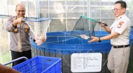 Foto: Upaya memperkuat ketahanan pangan nasional terus dilakukan jajaran kepolisian melalui pengembangan sektor budidaya pangan berkelanjutan. Salah satu langkah nyata tersebut terlihat dari kegiatan panen ikan nila merah yang dilaksanakan Polda Metro Jaya bersama Polres Metro Jakarta Barat di Greenhouse SPPG Palmerah, Jakarta Barat, Rabu sore (20/5/2026). (Dok-Istimewa)