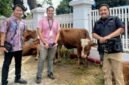 Foto: Sambut Iduladha, KompasTV Salurkan Hewan Kurban di Ciputat. (Dok-Istimewa)