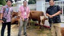 Foto: Sambut Iduladha, KompasTV Salurkan Hewan Kurban di Ciputat. (Dok-Istimewa)