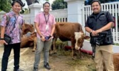 berita-pilihan-foto