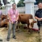 Foto: Sambut Iduladha, KompasTV Salurkan Hewan Kurban di Ciputat. (Dok-Istimewa)