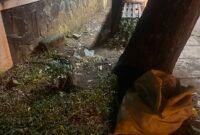 Kantor Imigrasi Kelas I Khusus Non TPI Tangerang melakukan penelusuran terkait informasi yang viral di media sosial mengenai temuan sejumlah paspor yang diduga milik jemaah haji maupun umrah dalam kondisi berserakan di sekitar Halte Bus BSD, Jalan Letjen Sutopo, dekat Pasar Modern BSD dan Santa Ursula, Kota Tangerang Selatan.