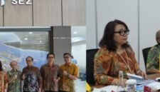 Pemerintah mendukung rencana perluasan Kawasan Ekonomi Khusus (KEK) Gresik di tengah tingginya minat investasi yang terus mengalir ke kawasan industri tersebut.
