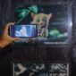 Tarsius, salah satu hewan yang ada di Geopark Belitong. (Foto: Kemenpar)