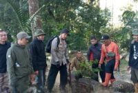 Foto: Perum Perhutani KPH Bandung Utara bersama BPBD Kabupaten Subang, jajaran BKPH Cisalak, Polisi Kehutanan, dan LMDH Sangkuriang melaksanakan aksi penanaman 50 bibit pohon jenis damar, pinus, dan rasamala di kawasan wisata Great Panorama Lodge and Camp, Catang Angkong, Senin (13/7/2026).