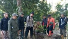 Foto: Perum Perhutani KPH Bandung Utara bersama BPBD Kabupaten Subang, jajaran BKPH Cisalak, Polisi Kehutanan, dan LMDH Sangkuriang melaksanakan aksi penanaman 50 bibit pohon jenis damar, pinus, dan rasamala di kawasan wisata Great Panorama Lodge and Camp, Catang Angkong, Senin (13/7/2026).