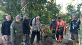 Foto: Perum Perhutani KPH Bandung Utara bersama BPBD Kabupaten Subang, jajaran BKPH Cisalak, Polisi Kehutanan, dan LMDH Sangkuriang melaksanakan aksi penanaman 50 bibit pohon jenis damar, pinus, dan rasamala di kawasan wisata Great Panorama Lodge and Camp, Catang Angkong, Senin (13/7/2026).