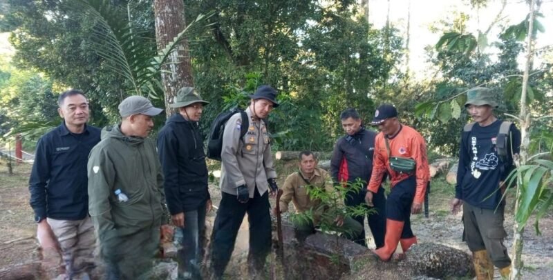 Foto: Perum Perhutani KPH Bandung Utara bersama BPBD Kabupaten Subang, jajaran BKPH Cisalak, Polisi Kehutanan, dan LMDH Sangkuriang melaksanakan aksi penanaman 50 bibit pohon jenis damar, pinus, dan rasamala di kawasan wisata Great Panorama Lodge and Camp, Catang Angkong, Senin (13/7/2026).