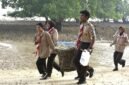 Foto: Anggota Saka Bahari bersama prajurit TNI Angkatan Laut membawa hasil pengumpulan sampah saat mengikuti aksi bersih pantai di kawasan Lapangan Tembak Cakra Kodaeral IV, Batam.