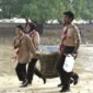 Foto: Anggota Saka Bahari bersama prajurit TNI Angkatan Laut membawa hasil pengumpulan sampah saat mengikuti aksi bersih pantai di kawasan Lapangan Tembak Cakra Kodaeral IV, Batam.
