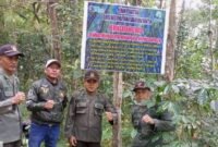 Foto: Petugas Perhutani KPH Bandung Utara bersama unsur Polisi Hutan dan Pemerintah Desa Suntenjaya berfoto usai memasang papan peringatan larangan penyadapan getah pinus tanpa izin saat patroli gabungan di kawasan RPH Cibodas, Kabupaten Bandung Barat, Rabu (8/7/2026).