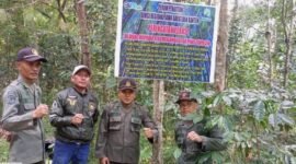 Foto: Petugas Perhutani KPH Bandung Utara bersama unsur Polisi Hutan dan Pemerintah Desa Suntenjaya berfoto usai memasang papan peringatan larangan penyadapan getah pinus tanpa izin saat patroli gabungan di kawasan RPH Cibodas, Kabupaten Bandung Barat, Rabu (8/7/2026).