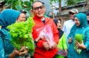 Foto: Wali Kota Administrasi Jakarta Pusat Arifin berbincang dengan warga usai panen hasil urban farming di RW 08 Kelurahan Paseban, Kecamatan Senen, Jumat (31/7/2026).
