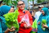 Foto: Wali Kota Administrasi Jakarta Pusat Arifin berbincang dengan warga usai panen hasil urban farming di RW 08 Kelurahan Paseban, Kecamatan Senen, Jumat (31/7/2026).
