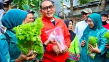 Foto: Wali Kota Administrasi Jakarta Pusat Arifin berbincang dengan warga usai panen hasil urban farming di RW 08 Kelurahan Paseban, Kecamatan Senen, Jumat (31/7/2026).