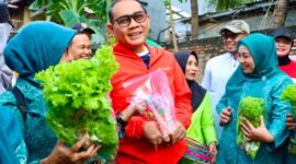 Foto: Wali Kota Administrasi Jakarta Pusat Arifin berbincang dengan warga usai panen hasil urban farming di RW 08 Kelurahan Paseban, Kecamatan Senen, Jumat (31/7/2026).