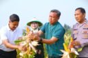 Foto: Wali Kota Administrasi Jakarta Timur Munjirin (kedua kanan) bersama jajaran Pemerintah Kota, Ketua Tim Penggerak PKK Kota Administrasi Jakarta Timur Essie Feransie Munjirin, dan unsur kepolisian memanen jagung di Kawasan Urban Farming Bali Lestari, Kampung Bali, Kelurahan Ujung Menteng, Kecamatan Cakung, Jakarta Timur, Kamis (6/8/2026).