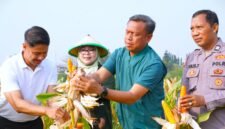 Foto: Wali Kota Administrasi Jakarta Timur Munjirin (kedua kanan) bersama jajaran Pemerintah Kota, Ketua Tim Penggerak PKK Kota Administrasi Jakarta Timur Essie Feransie Munjirin, dan unsur kepolisian memanen jagung di Kawasan Urban Farming Bali Lestari, Kampung Bali, Kelurahan Ujung Menteng, Kecamatan Cakung, Jakarta Timur, Kamis (6/8/2026).