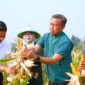 Foto: Wali Kota Administrasi Jakarta Timur Munjirin (kedua kanan) bersama jajaran Pemerintah Kota, Ketua Tim Penggerak PKK Kota Administrasi Jakarta Timur Essie Feransie Munjirin, dan unsur kepolisian memanen jagung di Kawasan Urban Farming Bali Lestari, Kampung Bali, Kelurahan Ujung Menteng, Kecamatan Cakung, Jakarta Timur, Kamis (6/8/2026).