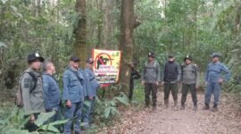 Foto: Perum Perhutani KPH Bandung Utara bersama Balai Penegakan Hukum (Gakkum) Kementerian Kehutanan menggelar patroli gabungan di kawasan BKPH Lembang sebagai upaya mengantisipasi gangguan keamanan hutan.