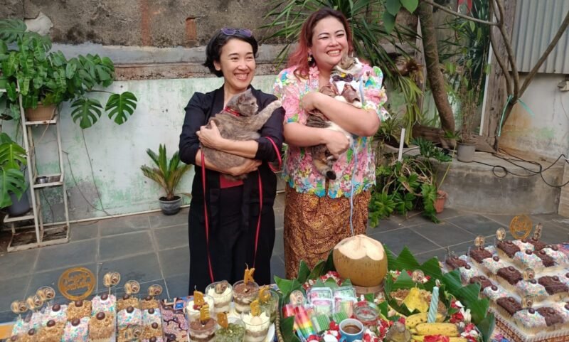 Foto: Rayakan Ultah Bebeck, Pecinta Kucing Berkumpul Bawa Hewan Kesayangan
