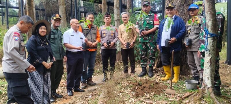 Foto: Perum Perhutani KPH Bandung Utara bersama pengelola wisata Dusun Bambu dan sejumlah pemangku kepentingan melakukan penanaman pohon di kawasan wisata Dusun Bambu, Desa Kertawangi, Kecamatan Cisarua, Kabupaten Bandung Barat.