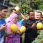 Foto: Wali Kota Administrasi Jakarta Timur Munjirin bersama Ketua TP PKK Kota Administrasi Jakarta Timur Essie Feransie Munjirin memanen golden melon di lahan urban farming halaman bekas SMK Santa Lucia, RW 012, Kelurahan Rawamangun, Kecamatan Pulogadung, Jumat (25/9/2026).