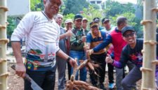 Foto: Wali Kota Administrasi Jakarta Timur Munjirin bersama warga memanen singkong di lingkungan RW 09, Jalan Radar Utara, Pangkalan Jati, Kelurahan Cipinang Melayu, Kecamatan Makasar, Jakarta Timur, Jumat (2/10/2026).