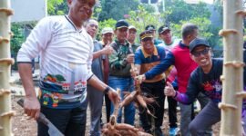 Foto: Wali Kota Administrasi Jakarta Timur Munjirin bersama warga memanen singkong di lingkungan RW 09, Jalan Radar Utara, Pangkalan Jati, Kelurahan Cipinang Melayu, Kecamatan Makasar, Jakarta Timur, Jumat (2/10/2026).